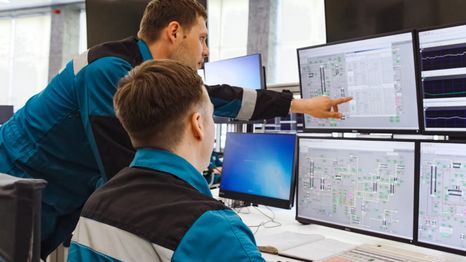 Los monitores son ideales para trabajadores