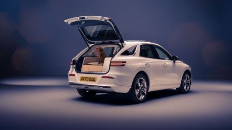 Genesis presenta módulo para mascotas, exclusivo para su SUV eléctrico