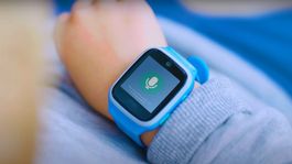 Fitbit