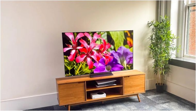 LG fue uno de los mejores vendedores de televisores OLED del año.