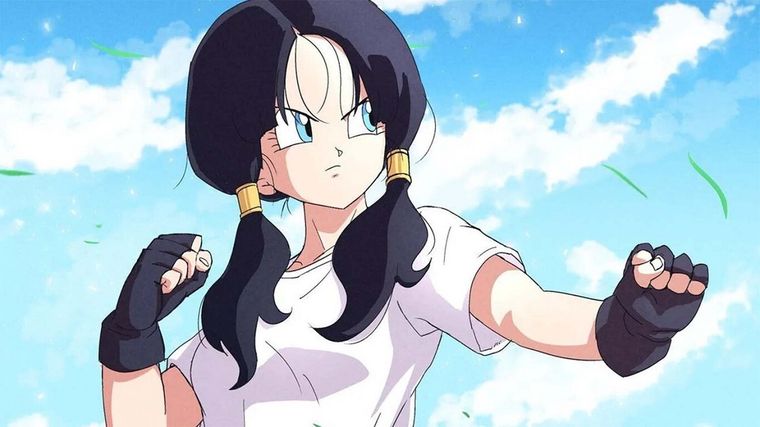 Videl. Dragon Ball Z