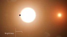 astronomos descubren un sol bebe orbitado por tres mundos calientes en un rio de estrellas