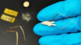 Robótica en la vida diaria