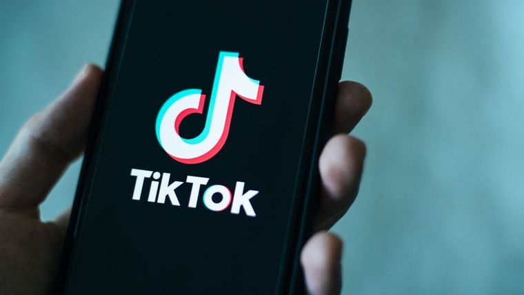 TikTok: el video con más 37 millones de reproducciones que se hizo viral en pocos días