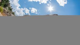 descubren el sorprendente tamano de un tiranosaurio al nacer