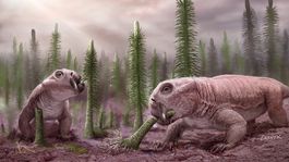 ¿como resurgio la vida en la tierra luego de la gran muerte?