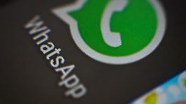 Actualización: WhatsApp permitirá ordenar los GIFs y guardarlos
