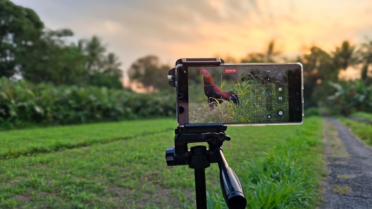 Estos 3 modelos de Samsung son, sin duda, los teléfonos más sobresalientes del 2025. Estos 3 modelos de Samsung son, sin duda, los teléfonos más sobresalientes del 2025.