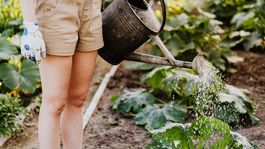 Guía de Jardín Guía de Jardín