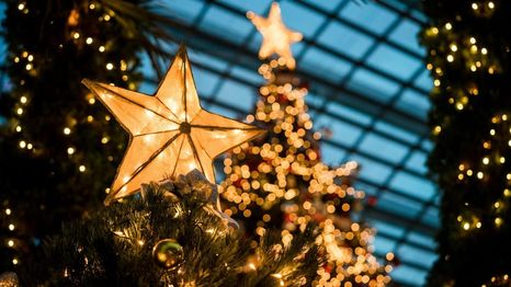 Elementos navideños que no pueden faltar