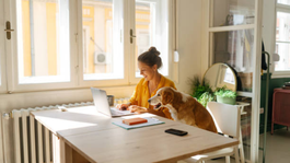 Consigue trabajo remoto en estas plataformas