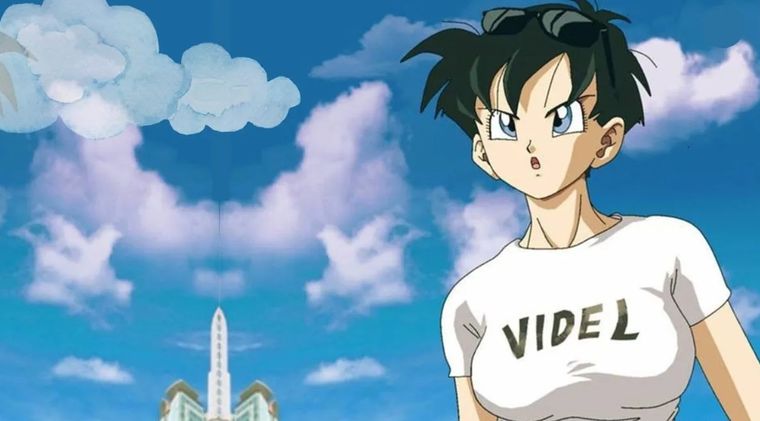Videl de Dragon Ball Z Videl de Dragon Ball Z