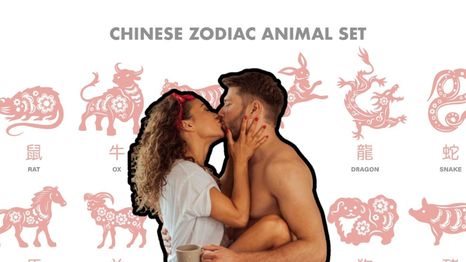 Le consulté a la IA cuáles son los signos del Horóscopo chino más apasionados y esto respondió