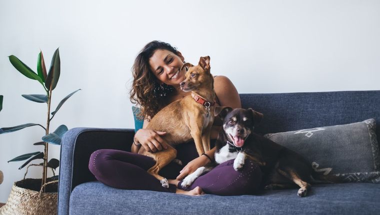 AmazonAhora con este dispositivo puedes observar lo que hace tu mascota cuando te vas