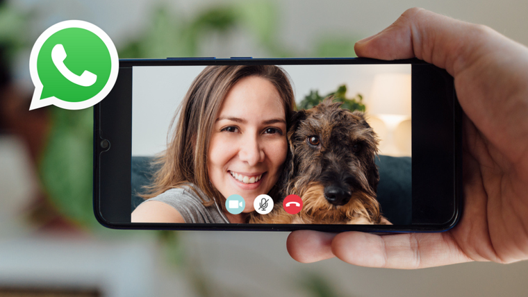 Utiliza esta nueva función de WhatsApp