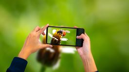 Un avance en tecnología óptica promete cambiar para siempre la forma en que los teléfonos capturan imágenes. Un avance en tecnología óptica promete cambiar para siempre la forma en que los teléfonos capturan imágenes.