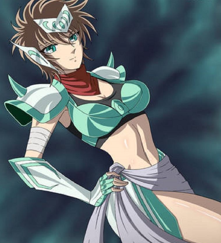 Caballeros del Zodiaco