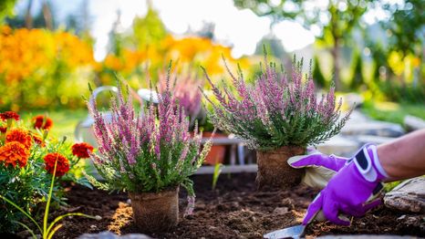 Amazon tiene en oferta por tiempo limitado este juego de jardinería