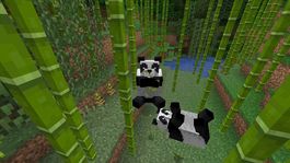 minecraft: donde encontrar a los carinosos pandas