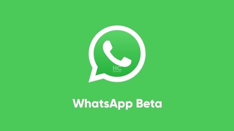 WhatsApp enfrenta fallos en la versión Beta