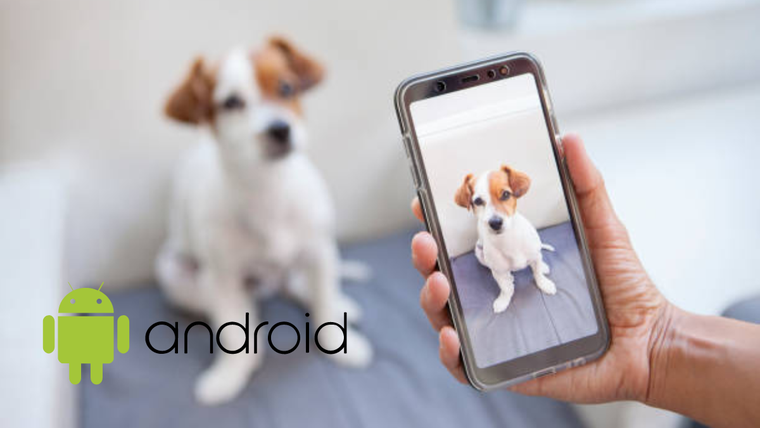 Ahora tendrás la cámara de un profesional