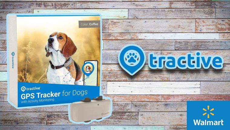 Walmart nos trae en oferta este dispositivo de GPS para rastrear a nuestras mascotas
